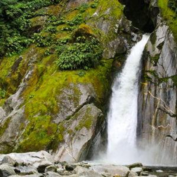 Milford Trek Hike