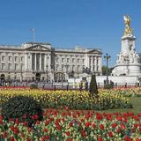 Buckingham Palace