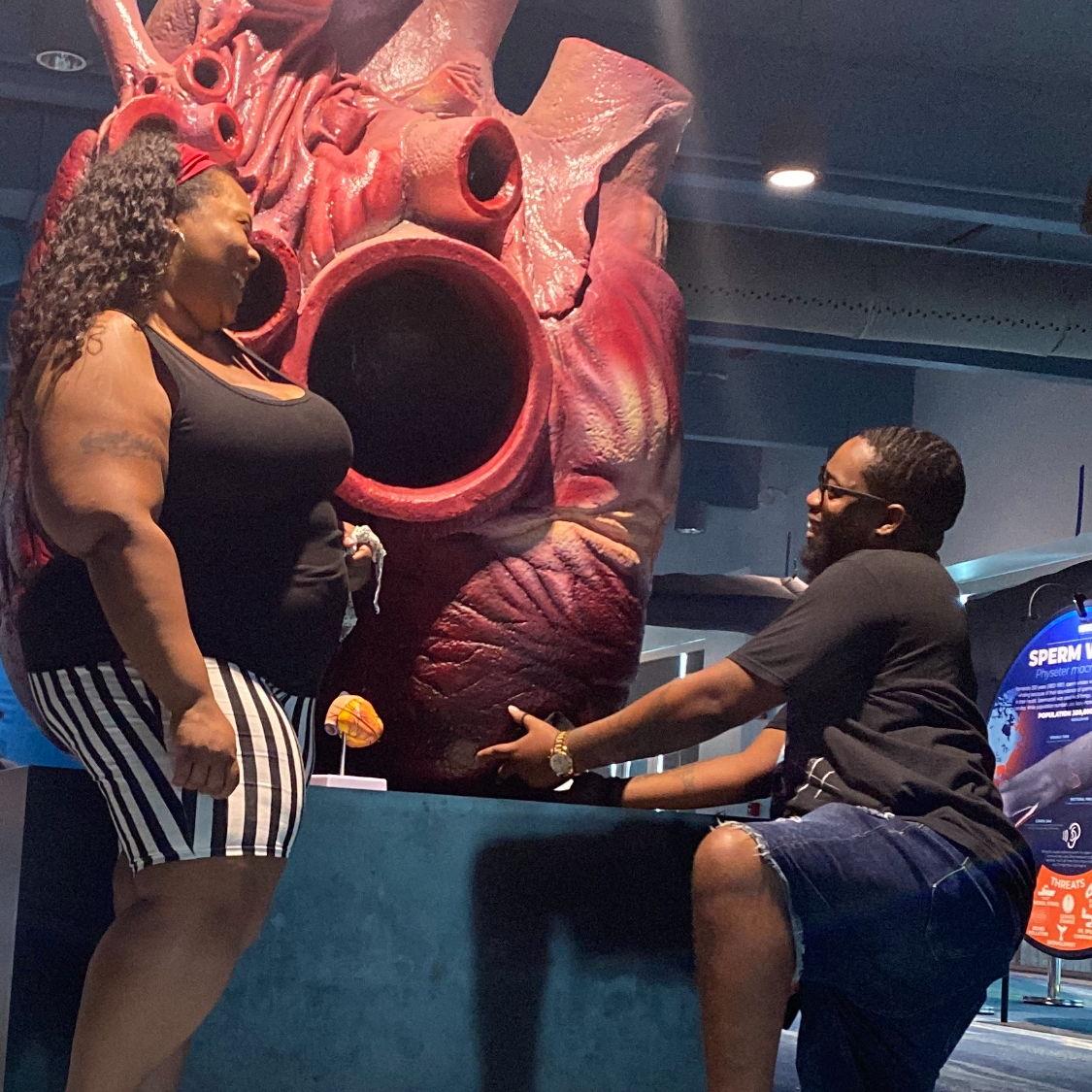 Hero Slideshow Image 0