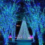 Botanical Garden of Lights