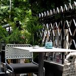 Blue Tokai Coffee Roasters | Southern Avenue