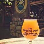 The Dodging Duck Brewhaus & Restaurant