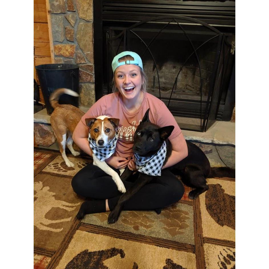 Our first trip with Trixie- quarantine in the Blue Ridge Mountains!