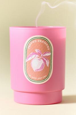 Juliette Fruity Peach & Nectarine Boxed Glass Candle