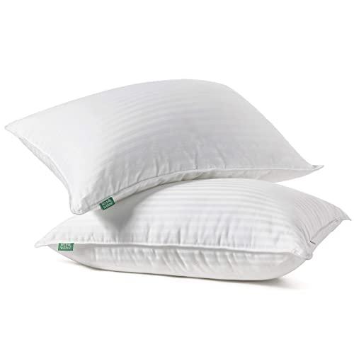 Fern and Willow Premium Loft Down Alternative Pillows for Sleeping (2-Pack) - Luxury Gel Plush Pillow (Standard)