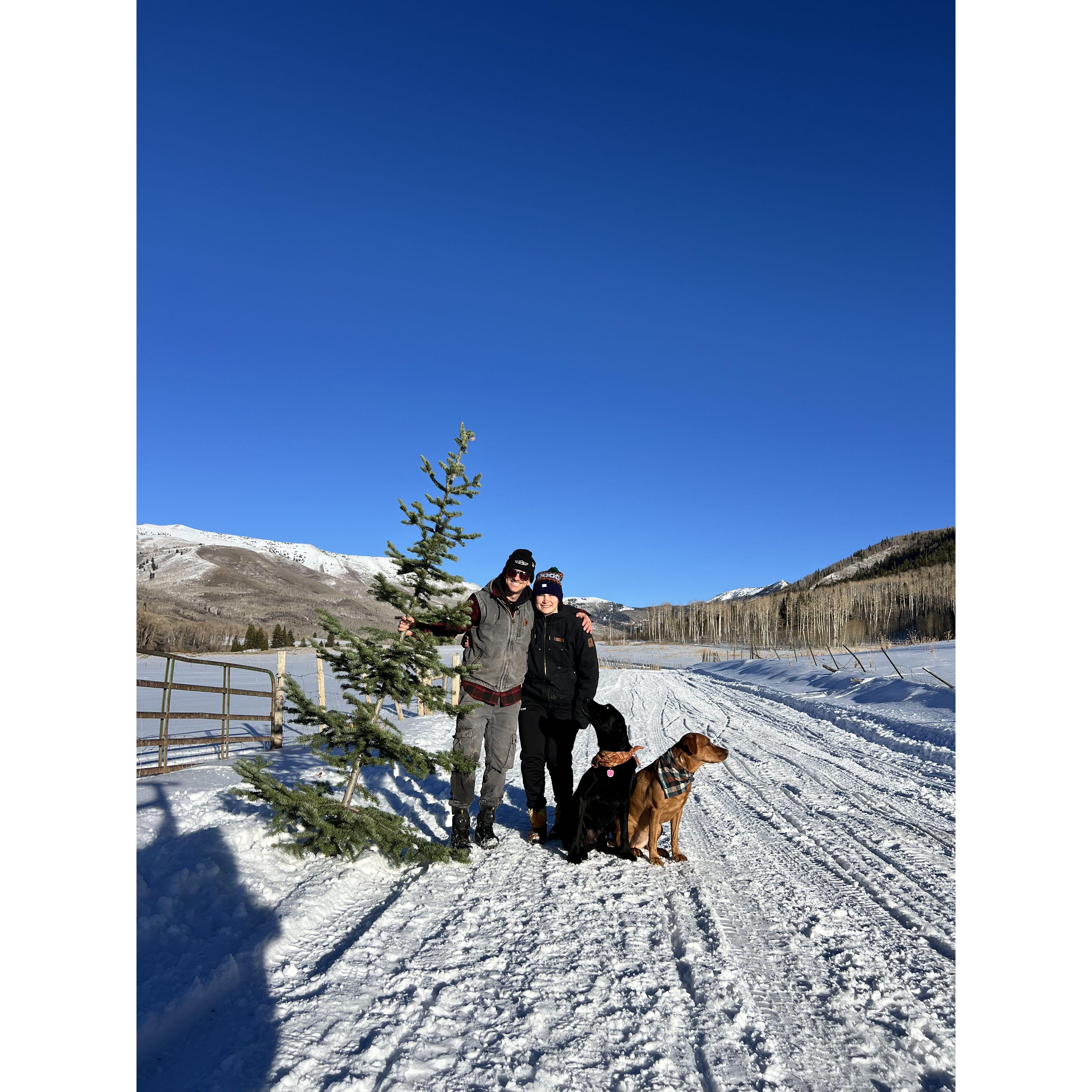 First and only photo of all 4 of us