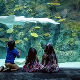 Seattle Aquarium