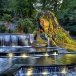 Atlanta Botanical Garden