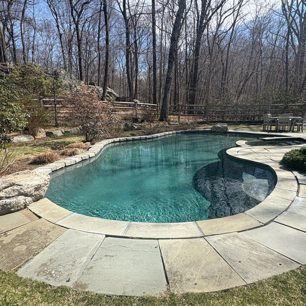 Summer Pool Oasis