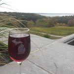 Old Mission Peninsula Wineries