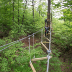 Treescape Aerial Adventure Park