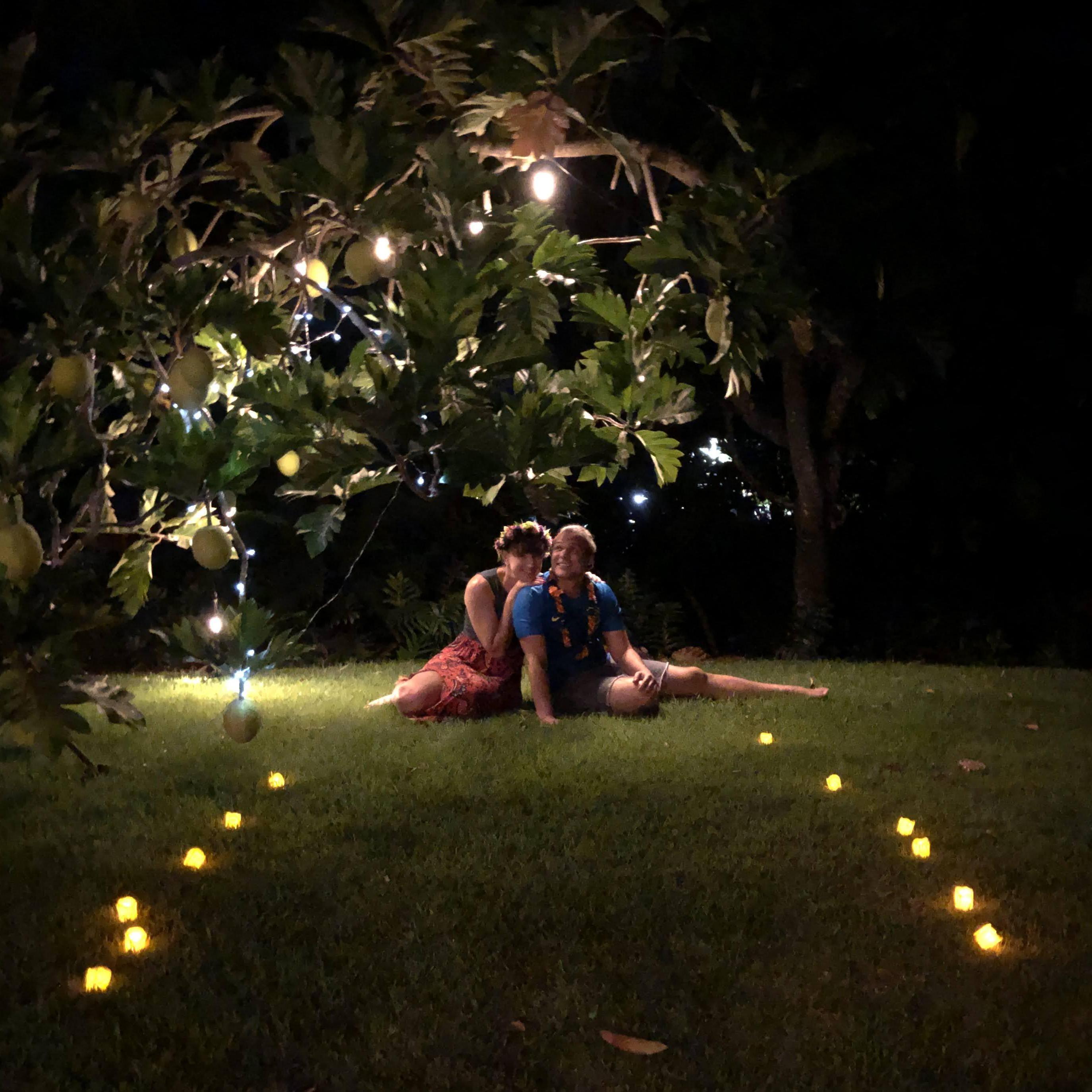Breadfruit tree proposal