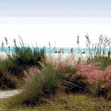 Siesta Key Beach