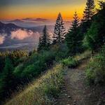 Saddle Mountain Trailhead
