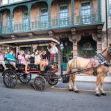Historic Charleston Carriage Tour