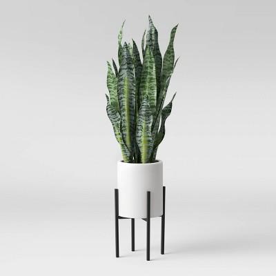 36" x 10" Artificial Snake Plant in Standing Planter Green/White - Project 62™