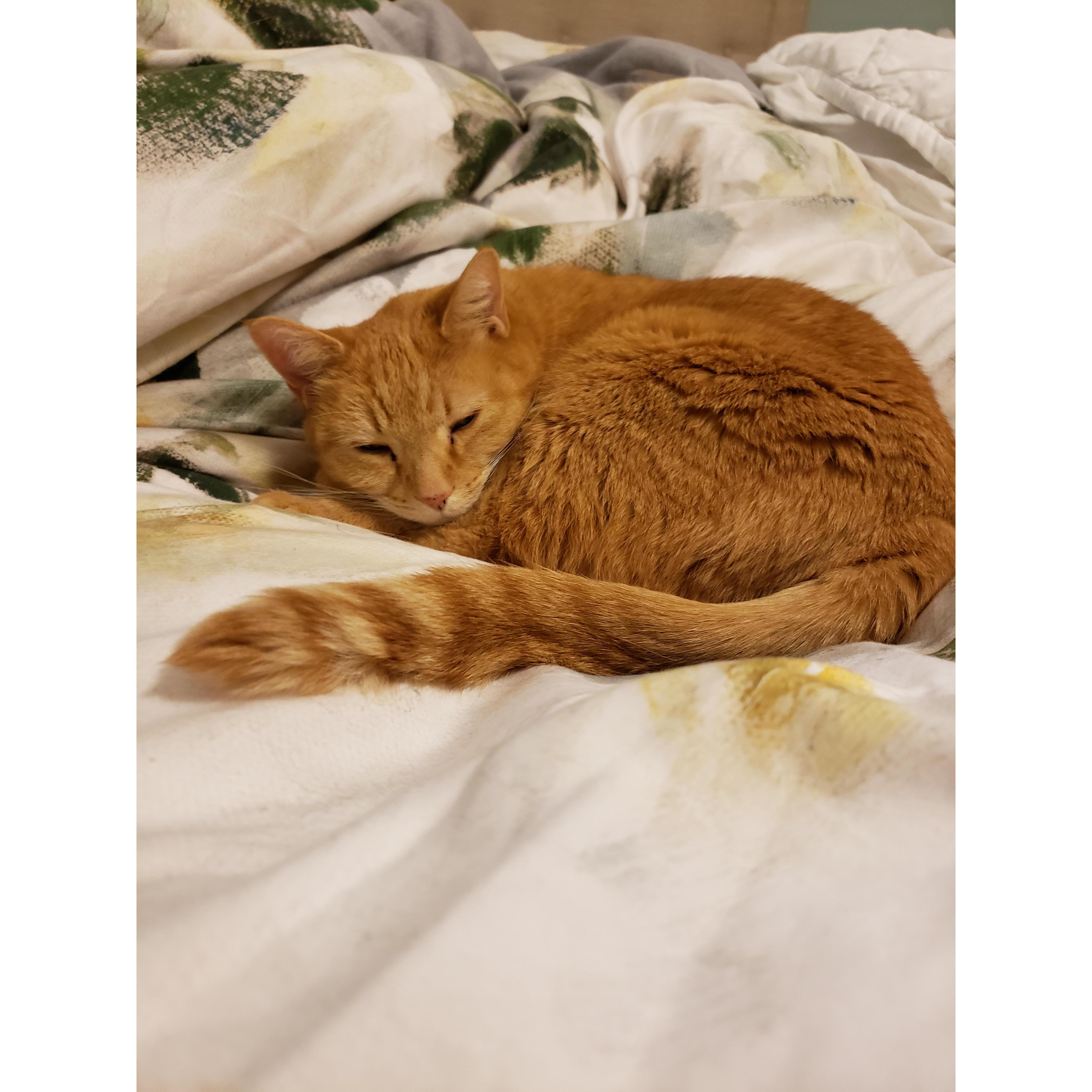 This is Mousey!
