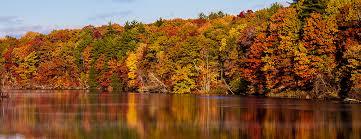 The Wedding Website of Nicole Desmond and Sven Johnson