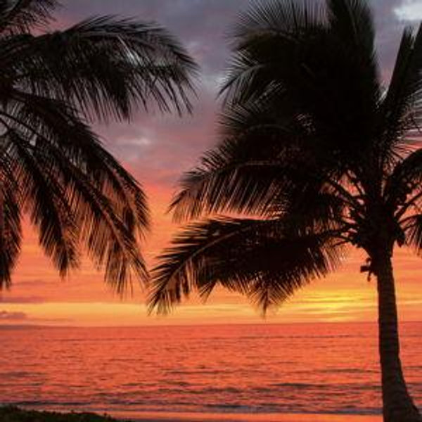 Honeymoon Fund - Maui!
