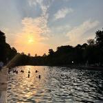 Barton Springs Pool