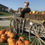 Honey Haven Farm