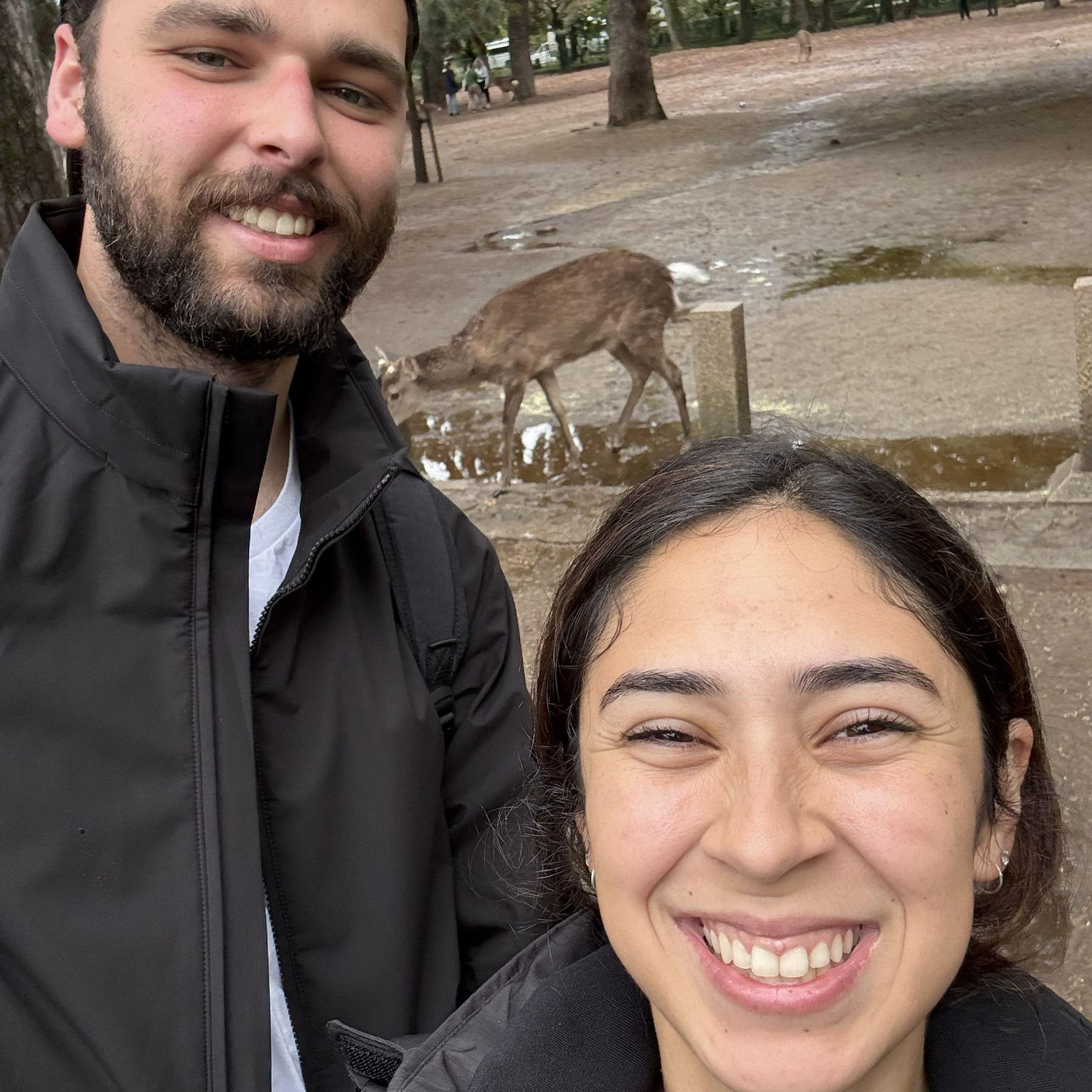 Nara Park