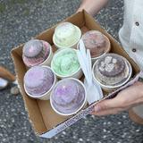 Sundae School Ice Cream