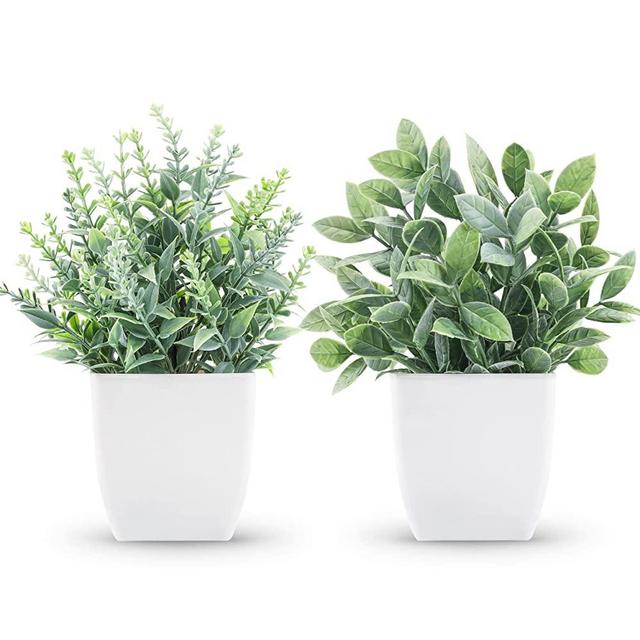 Der Rose 2 Packs Fake Plants Small Faux Artificial Small Potted Plants Indoor for Room Home Office Farmhouse Bathroom Decor