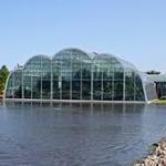 The Butterfly House