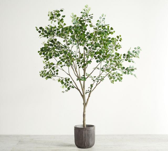 Faux Shady Lady Olive Tree in Concrete Grey Planter