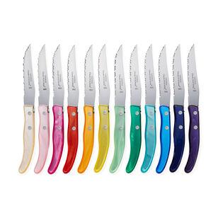 Rainbow Steak Knives - Set of 12