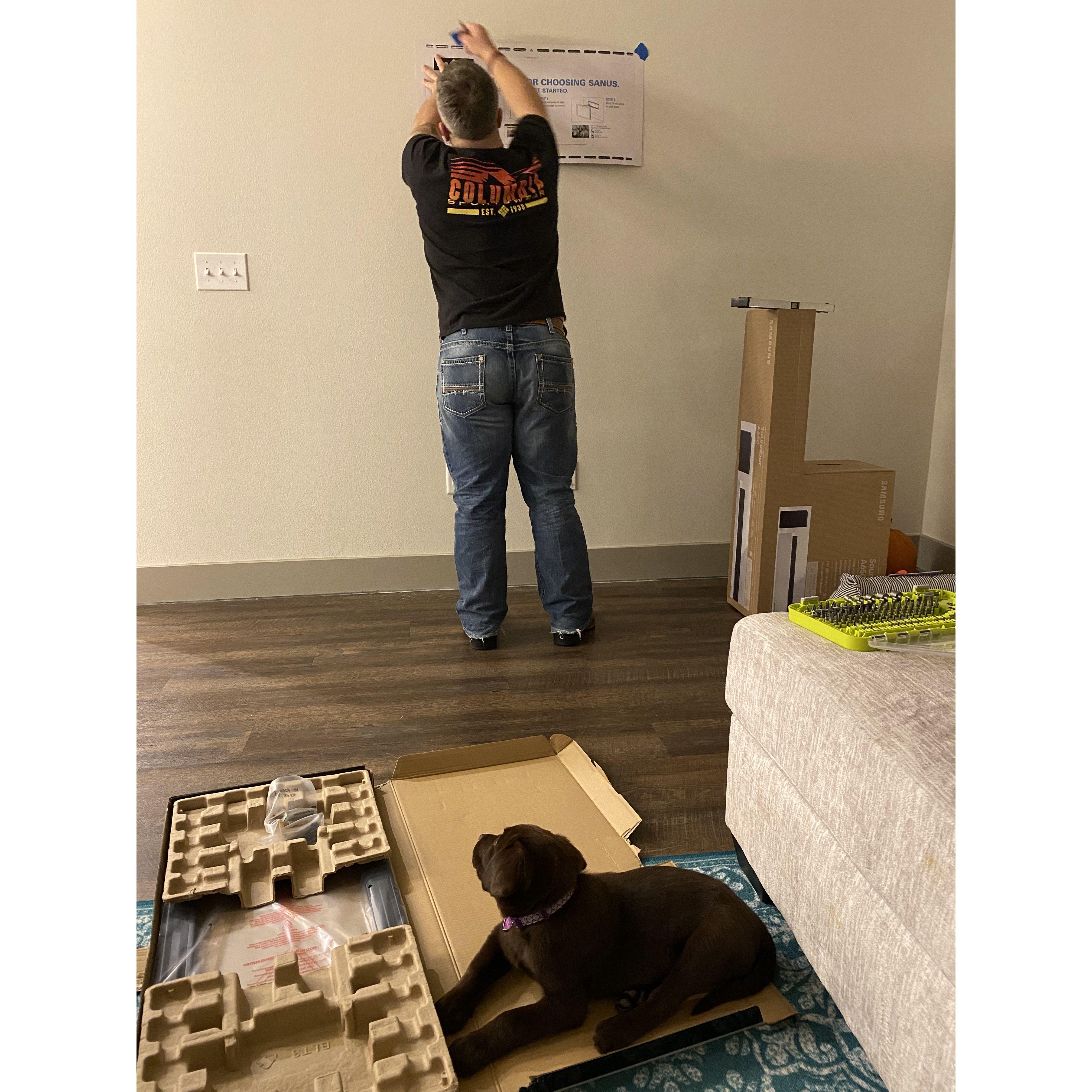 Installing my TV mount for me, puppy Maya is watching