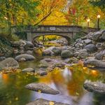 Lithia Park