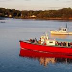 Damariscotta River Cruises