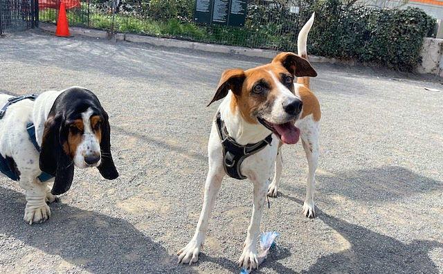 The Wedding Website of Samm Todd and Dan Falco