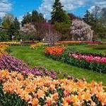 Hershey Gardens