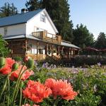 Heriot Bay Inn Pub