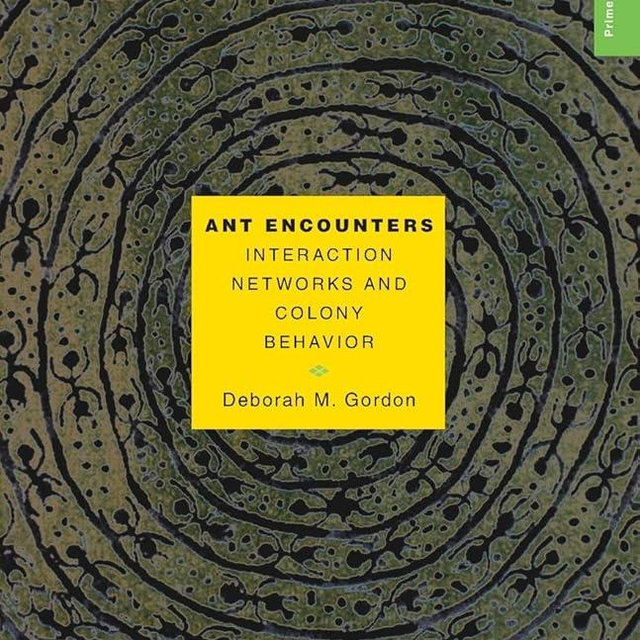 Ant Encounters: Interaction Networks and Colony Behavior (Primers in Complex Systems)