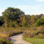 University of Wisconsin-Madison Arboretum
