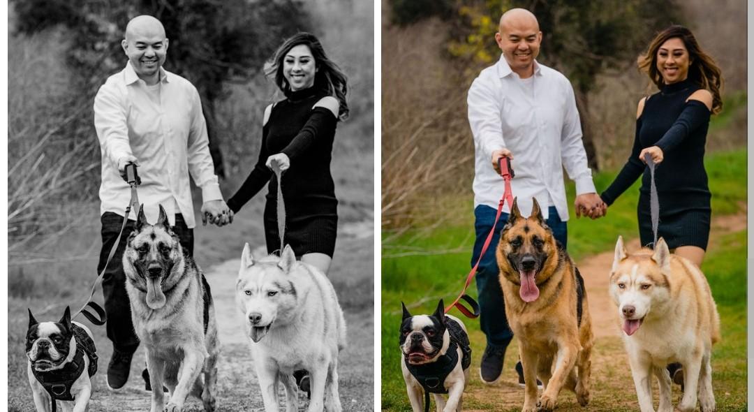 The Wedding Website of Amy Long and Pini Pung