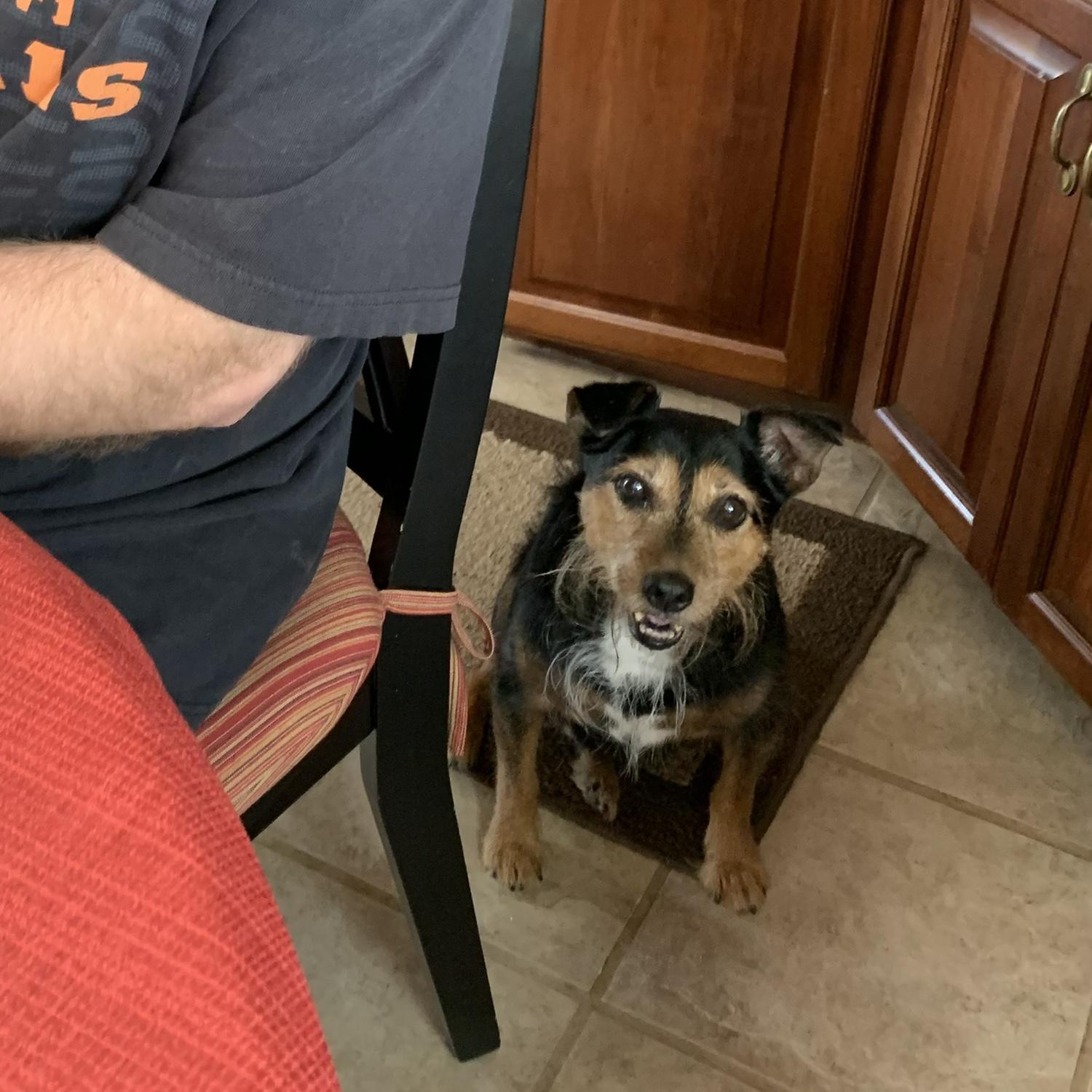 Indy approved of Nick from their first meeting. When my fiercest protector let his guard down, I  knew it was a true sign Nick could be my one! 
April 23, 2022