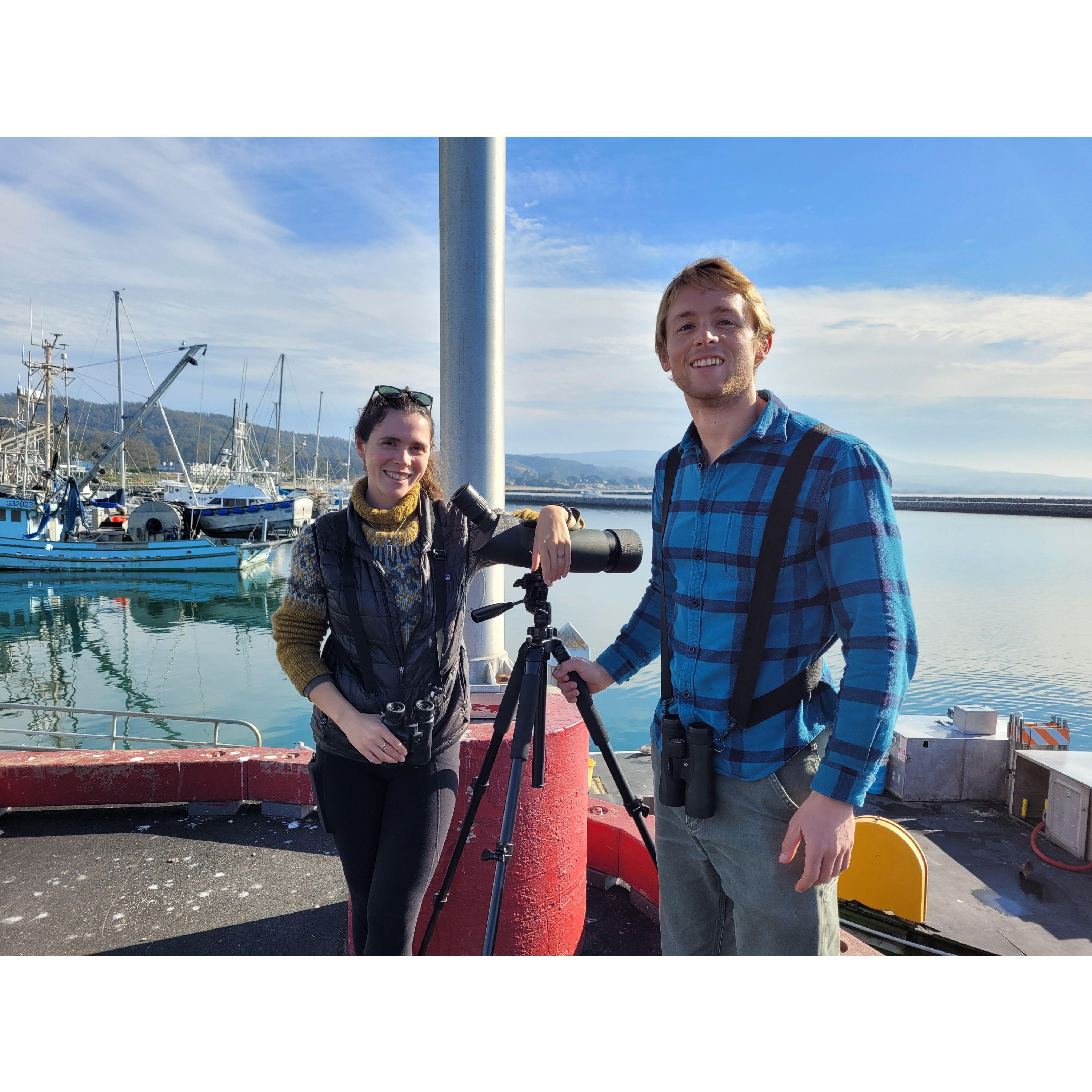 When we (finally) saw the Northern Gannet in Half Moon Bay!