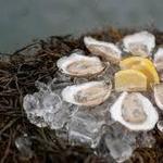 OystHERS Raw Bar & Bubbly