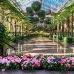 Longwood Gardens