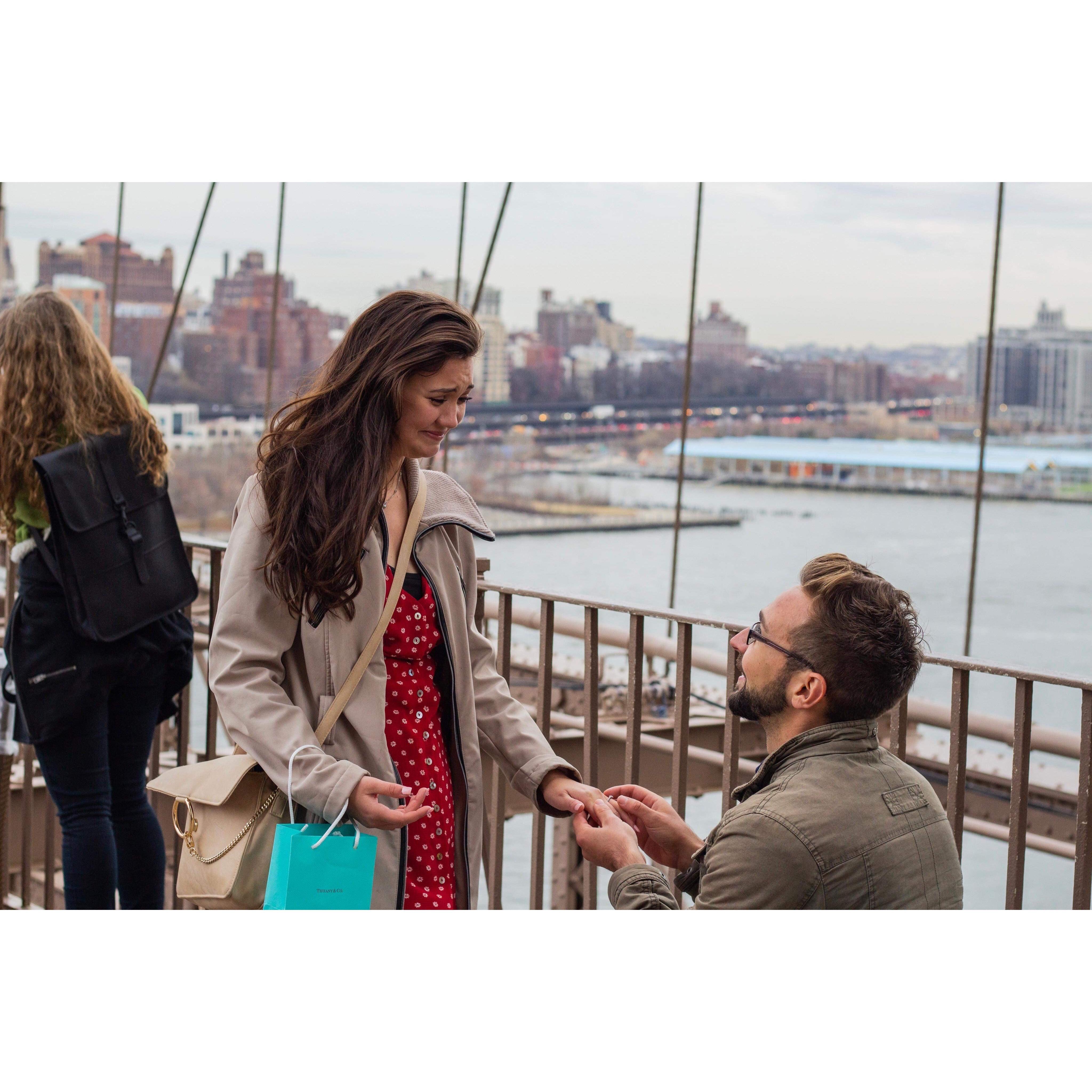 and all the adventures begin