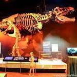 Discovery Place Science