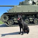 Fort Carson Visitor Center and Tank Museum