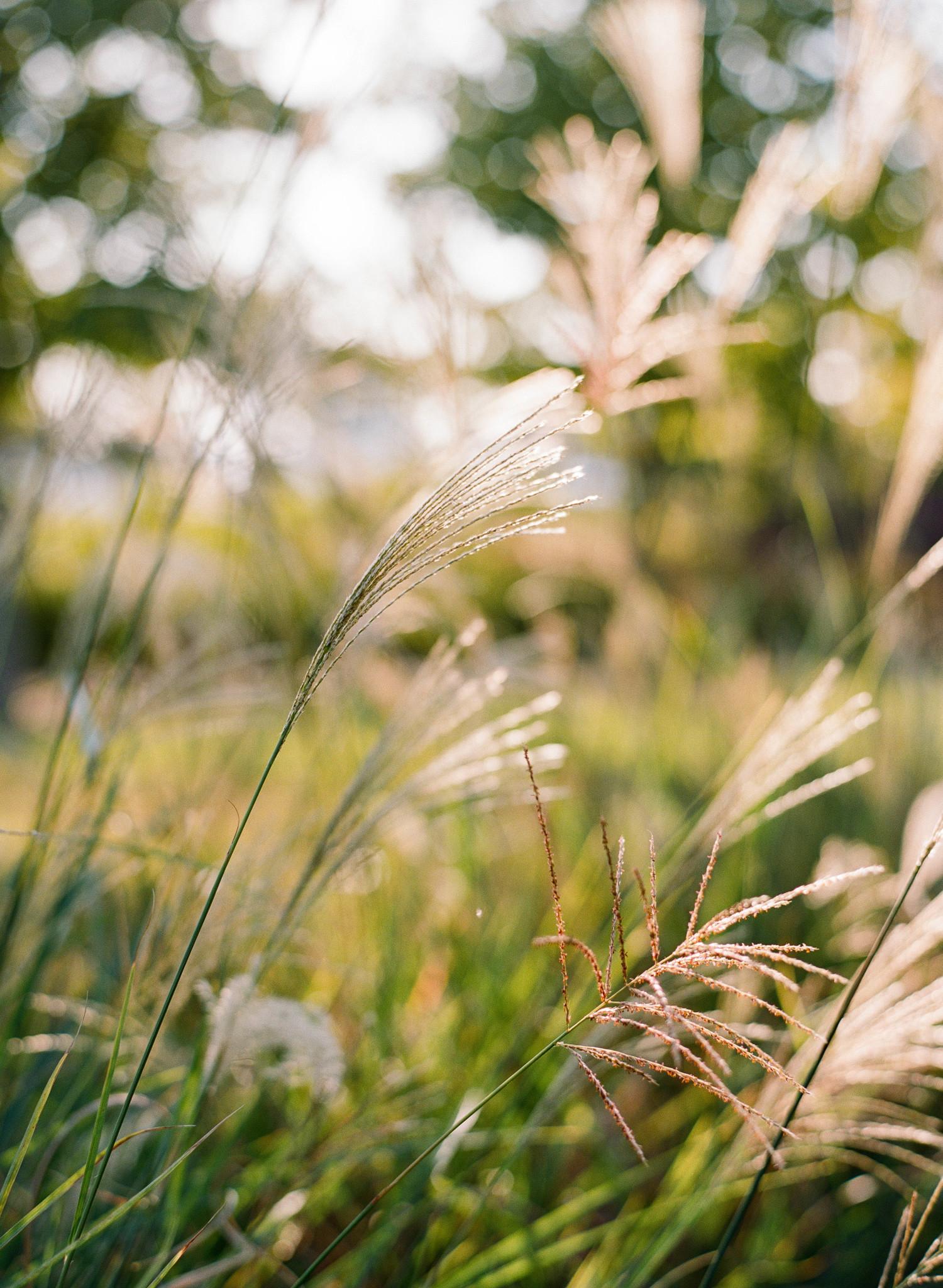 The Wedding Website of Emily Tompkins and Barret Murphy