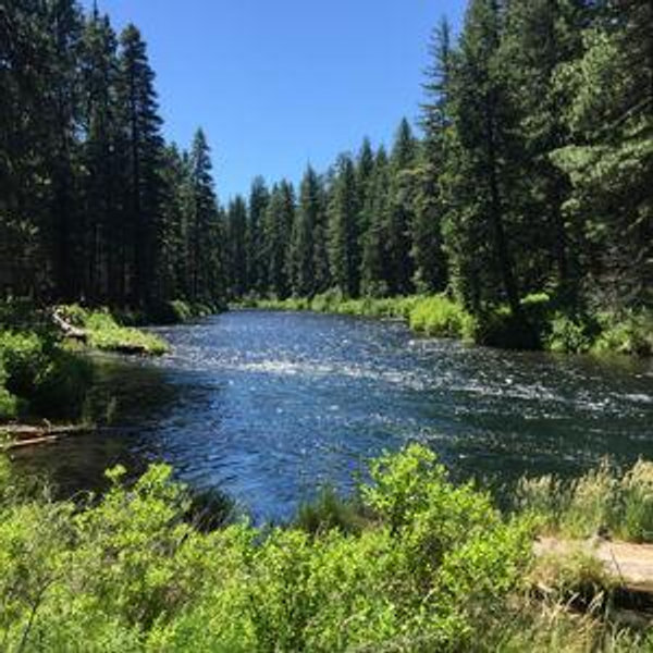 Friends of the Metolius