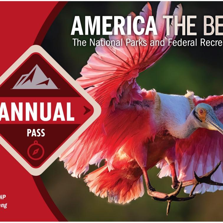 National Park Pass